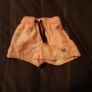 Beau Hudson Swim Trunks